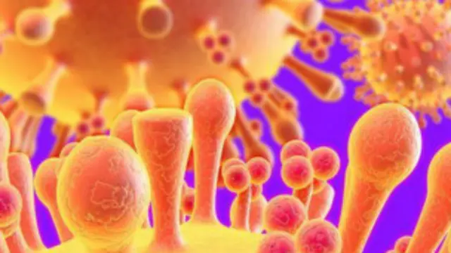 الوزارة أعلنت وفاة 18 حالة وإصابة 172 منذ ديسمبر الماضي بسبب إصابتهم بالفيروس. 