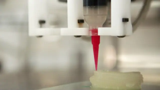 प्रयोगशाला में बनाया जा रहा इंसानी कान