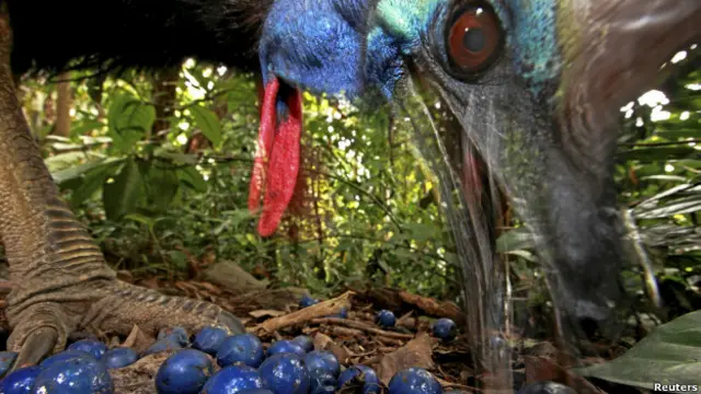 До посиніння в обличчі