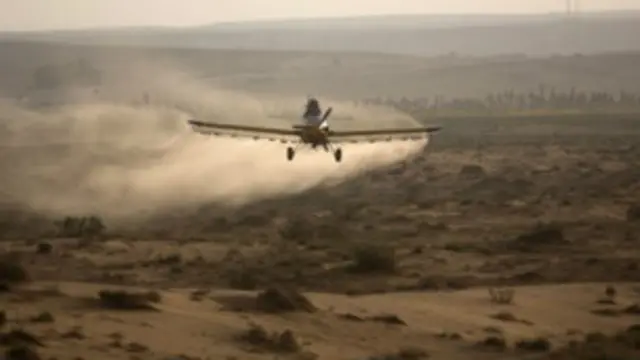 El Ministerio de Agricultura israelí ha destinado cuatro aviones al seguimiento y exterminación de la plaga.