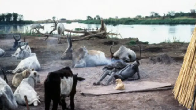 "Агар, Миср Нилнинг туҳфаси бўлса, Нил Мисрга берилган тортиқдир"