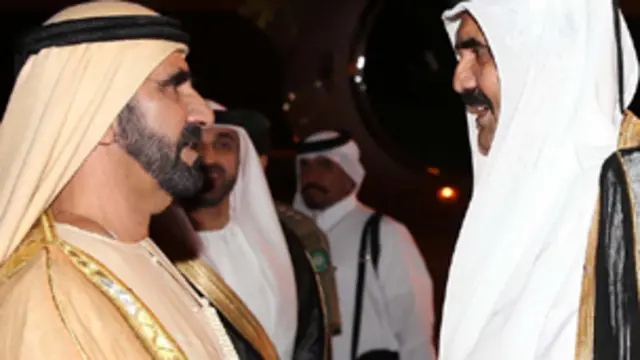 أمير قطر يستقبل رئيس الوفد الاماراتي