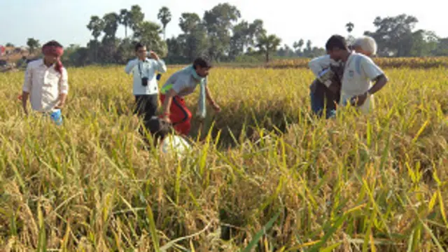 सुमंत कुमार किसान नांलदा