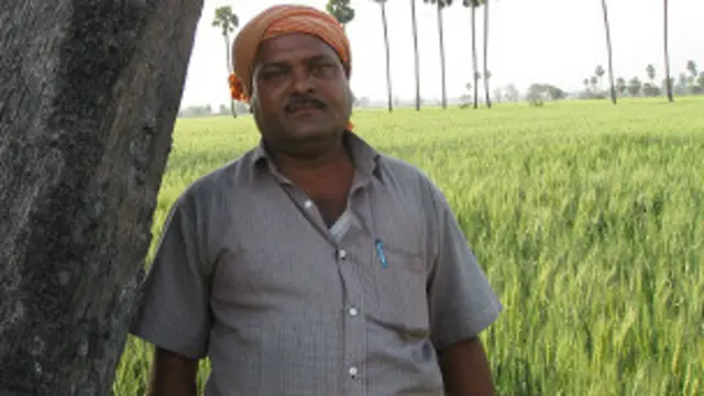 किसान धनंजय कुमार श्री विधि गेंहू