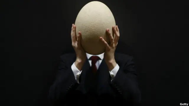 सबसे बड़ा अंडा