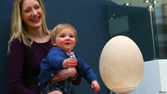 ये अंडा 30000 पाउंड में नीलाम होने की संभावना है