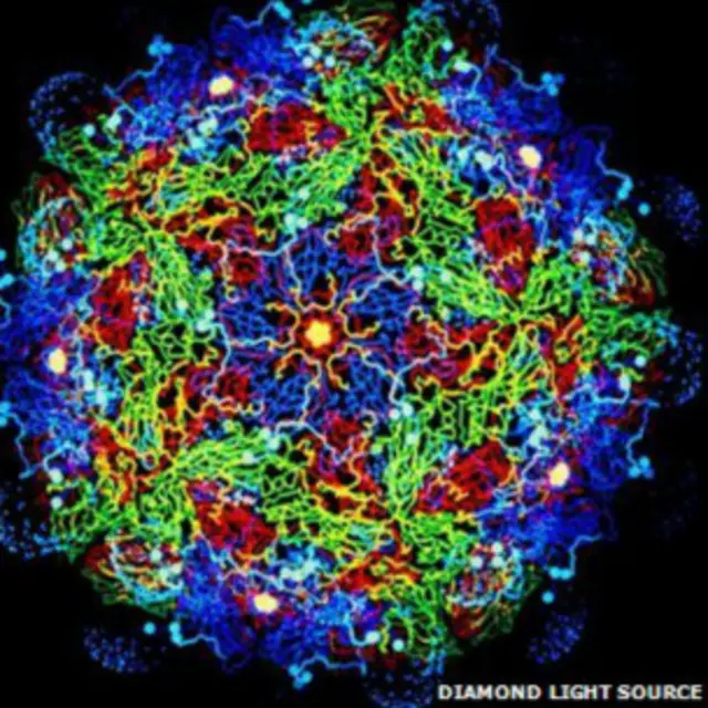 Так виглядає вірус