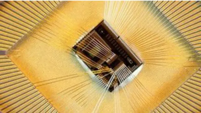 الشريحة تتحكم في شهية حاملها