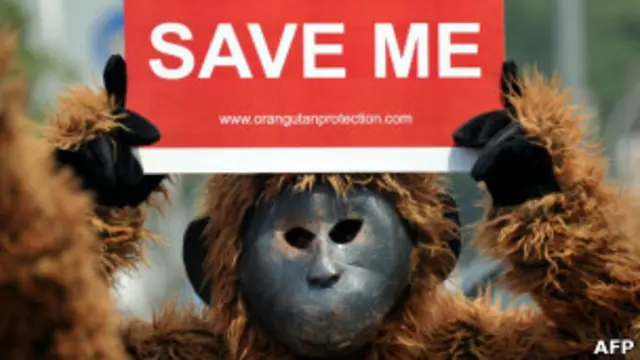 Protesto contra extinção na Indonésia. AFP