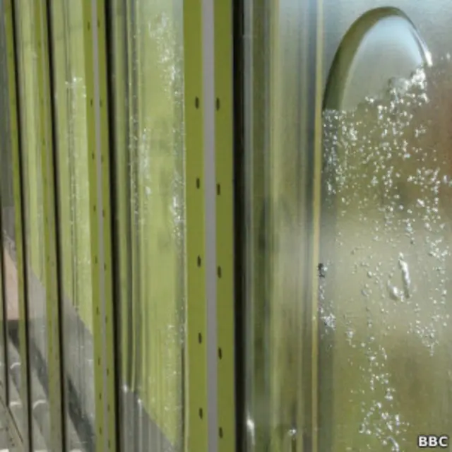 Casa da fotossíntese. BBC