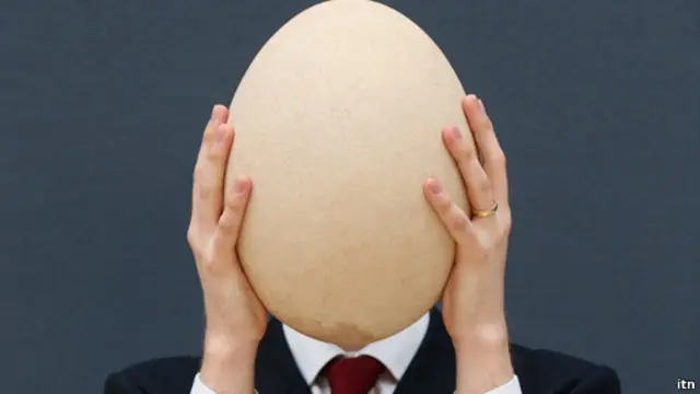 Burung Gajah (Elephant Bird) telah punah antara abad 13 dan 17.