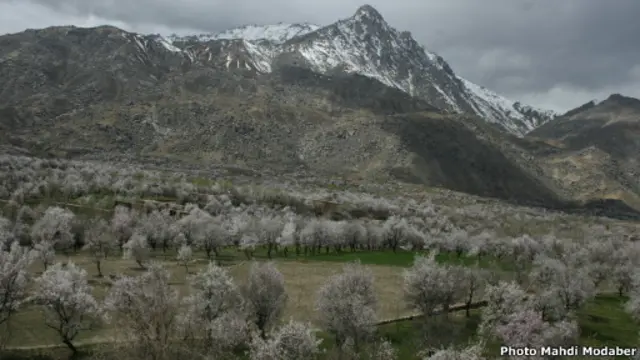 خانم جعفری در ولسوالی 'سنگ تخت' ولایت دایکندی در مرکز افغانستان دیده به جهان گشود