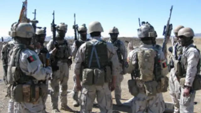 د پولیسو دغه ځانګړي ځواکونه دافغانستان د کورنیو چارو وزارت په چوکاټ کې فعالیت کوي.