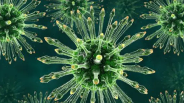 एचआईवी एंटीबॉडीज