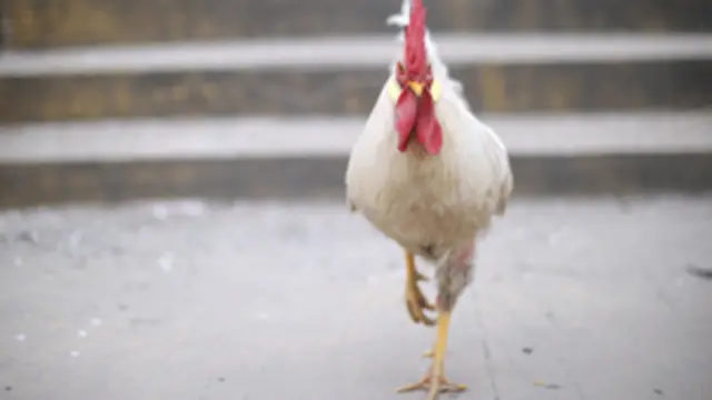 وقعت معظم الاصابات في شنغهاي