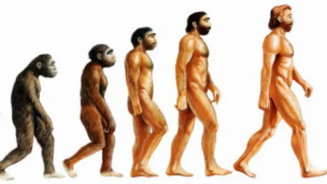 Ilustración de la evolución del Hombre