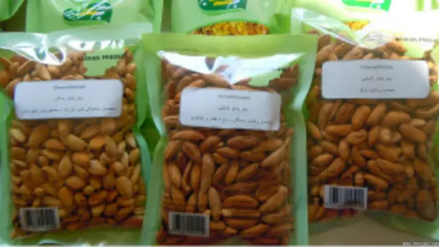 محصولات زراعتی بخش اعظم صادرات افغانستان را تشکیل می‌دهد