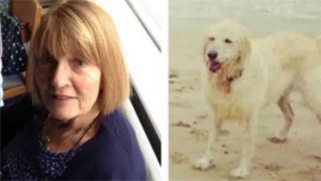 جوان میہافیز کی والدہ ڈائین جو الزائمرز کے مرض میں مبتلا ہیں بدھ کی صبح اپنے کتوں کو سیرکرانے باہر گئیں اور گم ہو گئیں۔