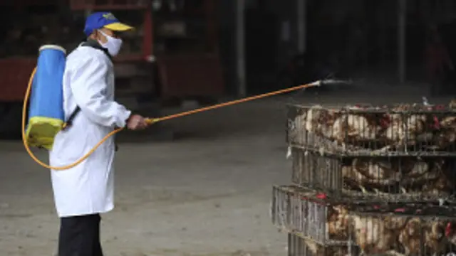 تتخذ السلطات الصينية تدابير احترازية لمنع إنتشار الفيروس