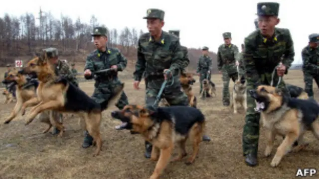 Северокорейские учения