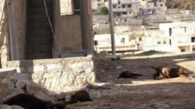 اطلاعات کے مطابق شام نے حلب میں کیمیائی ہتھیار استعمال کیے ہیں