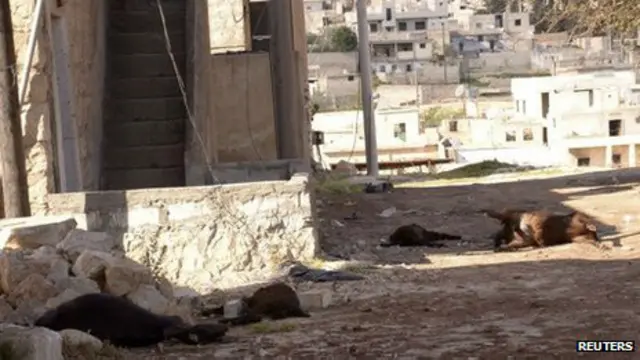 حیواناتی که به گفته ساکنان خان العسل در اثر حمله شیمیایی کشته شدند