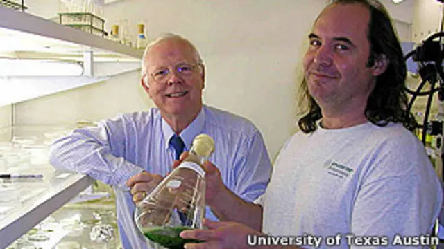 Malcom Brown y David Nobles