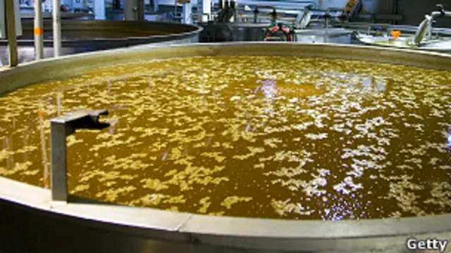 Tanque de fermentación de tequila