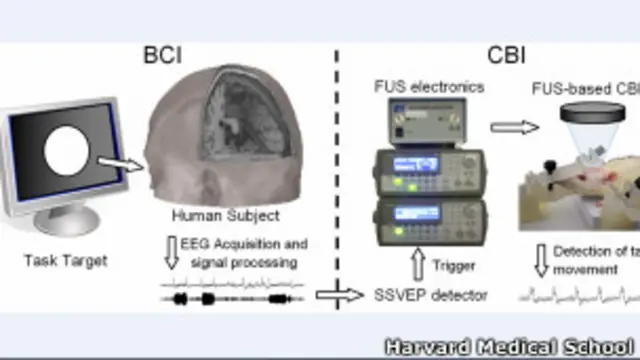Interfaz hombre-rata