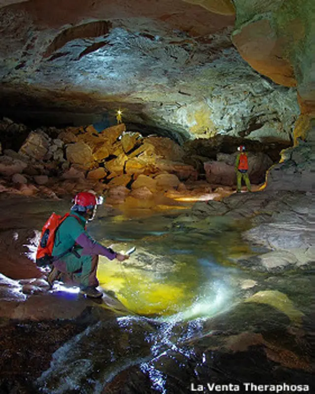 Caverna (La Venta THeraphosa)