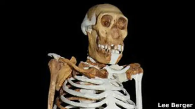 Ученим вдалось отримати найповнішу картину про життя австрополітеків