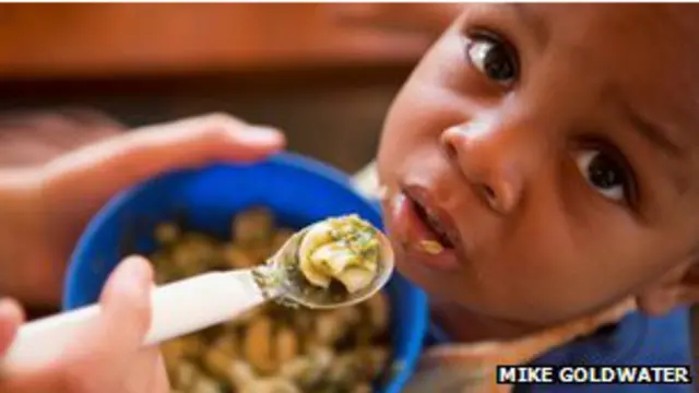 Niño come plato a base de hojas de moringa