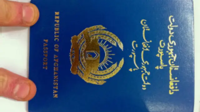 ستره محکمه وايي، اساسي قانون يوازې له ولسمشر/ولسمشرې غواړي چې دوه ګونى تابعيت دې نه لري.