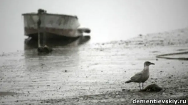 Берег Сахалина