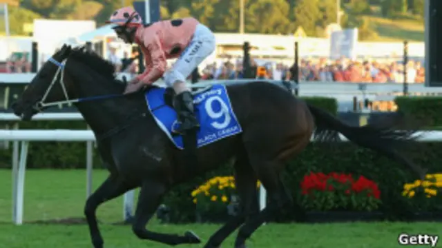 تعود اسطبلات غودولفين لآل مكتوم العائلة المالكة في الامارات. 