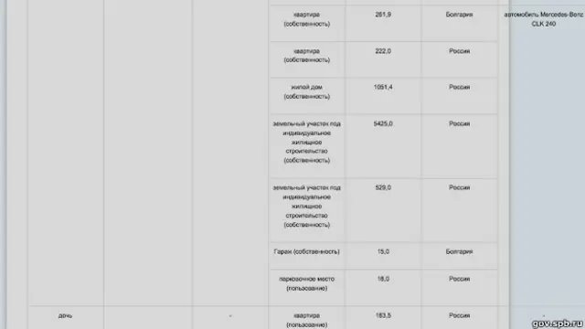 Снимок декларации доходов и имущества Василия Кичеджи и членов его семьи с сайта gov.spb.ru