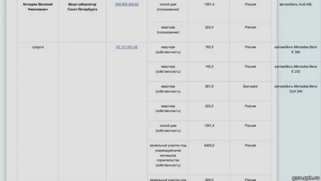 Снимок декларации доходов и имущества Василия Кичеджи и членов его семьи с сайта gov.spb.ru