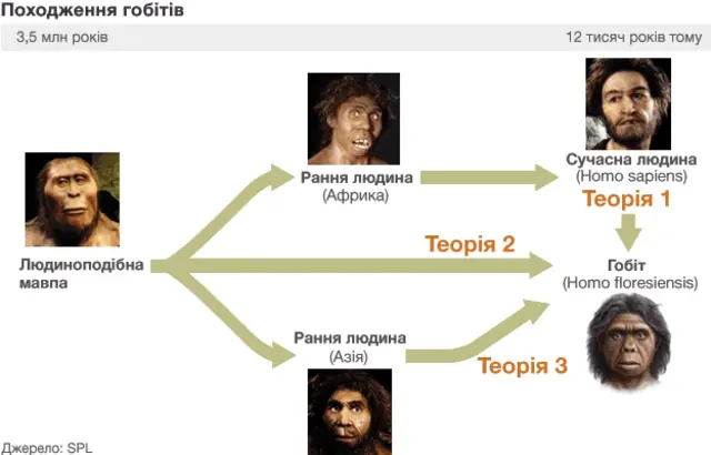 походження гобітів