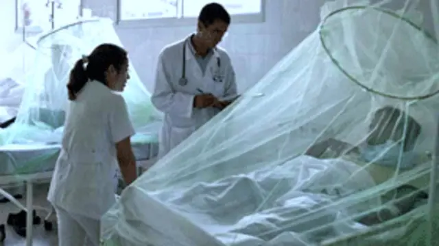 د سوات ټول قوت مدافعت ختم شوى دى ځکه نو ډېر ژر پرې نور مرضونه او جراثيم په اسانه حملې کولى شي.