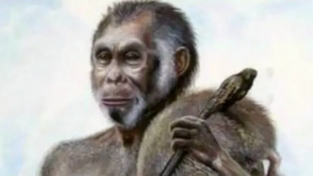 عكف العلماء منذ اكتشاف "الهوبيت" عام 2003 على محاولة التوصل إلى اصول هذا الكائن الذي لايزيد طوله عن المتر