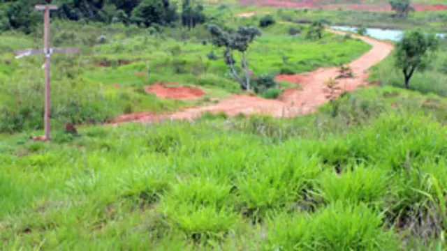 Lugar de la masacre. Foto: Hugo Valiente.
