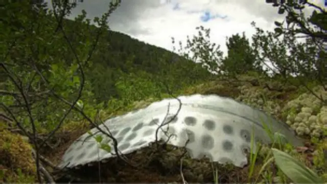 Sobre la zona este de Siberia han caido cientos de fragmentos de cochetes espaciales. 