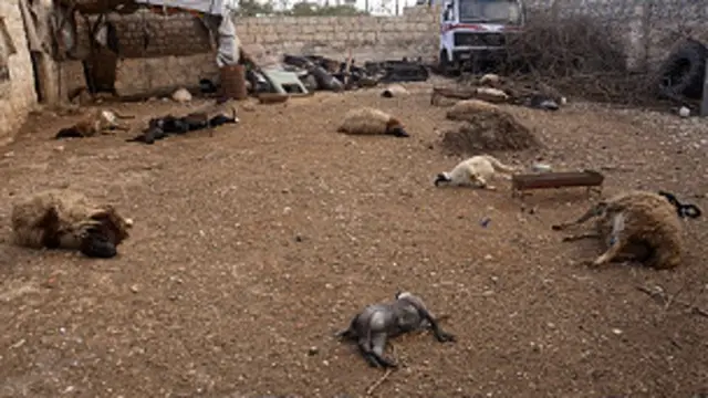 سوريه کې د کيمياوي وسلو کارونې داوې شوې دي.