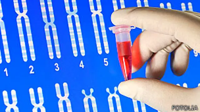 Análisis de material genético en el laboratorio