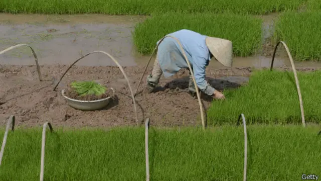Nông dân Việt Nam chỉ được sử dụng quỹ đất có từ nghìn năm của họ