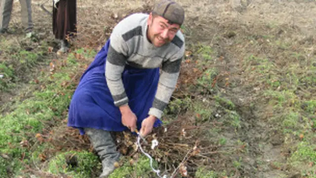Жанубнинг ҳосилдор ерларида азалдан ўзбеклар яшаган, энди уларнинг ерлари тортиб олинаётгани ҳақида хабарлар чиқмоқда