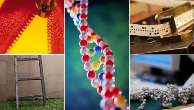 Composición del ADN