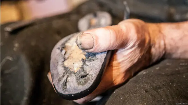 Foto: Əziz Kərimov