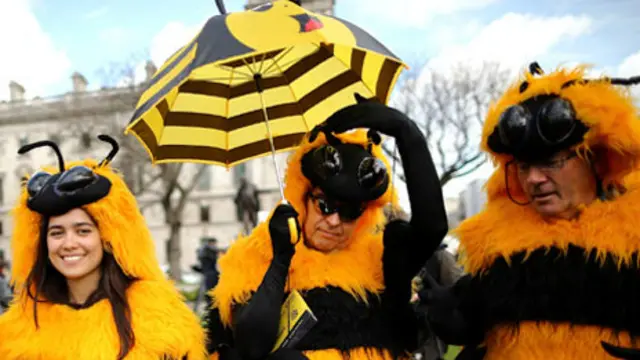 Mặc giả ong đi biểu tình chống thuốc trừ sâu tại London. Ảnh: Dan Kitwood/ Getty Images