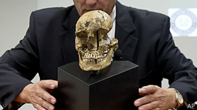 Cráneo de niña de mi 1609